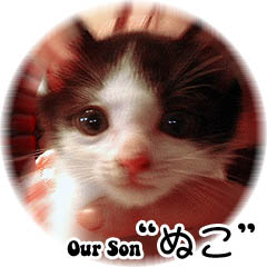 Our Son ぬこ